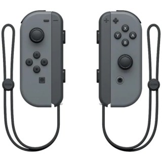 Console Nintendo Switch • Gris