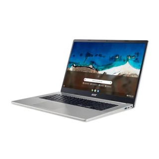 Acer Chromebook 317